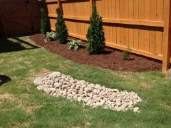 3"-5" Chalet Stones for Erosion with Patriot Hosta and Leyland Cypress in Background